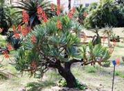 Nature at the Garden