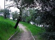 Parco Ponte Sant'Angelo, Perugia