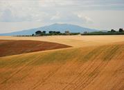 La campagna