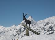 Champoluc, veduta