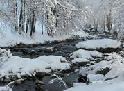 Torrente Pesio innevato