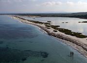 Saline