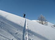 Monte Godi (2.011 metri)