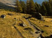 Val d'Ayas