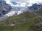 Passo dell Stelvio