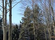 Piane di Mocogno, Modena