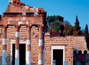Una mostra da non perdere
