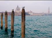 Acqua alta