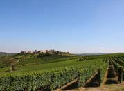 Tra Langhe e Monferrato