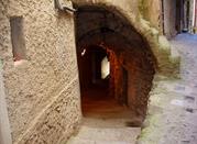 Pigna, chibu