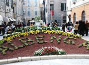 Fiori d'Albenga