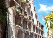 Tropea