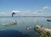 Vista sulla laguna