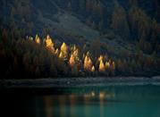 Il Lago di Pian Palù