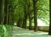 Il Parco
