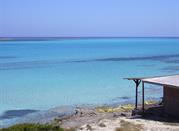 mare