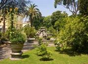 Nature at the Garden