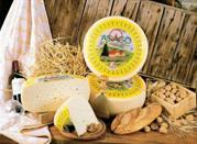 Formaggio Asiago