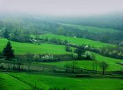 Colline