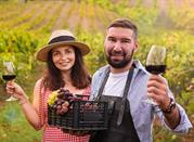 Emilia Romagna, Castrocaro produzione di Cabernet