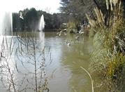Laghetto nella Riserva Naturale