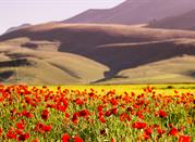 Umbria Castelluccio