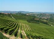 I vigneti e le sue colline