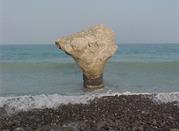 Roseto capo spulico 1