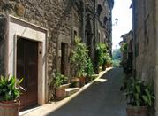 Un viale del centro
