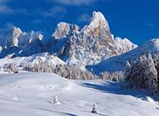 Il Biotopo di Malga Laghetto