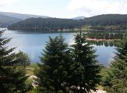 Lago Arvo