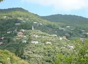 San Maurizio di Monti