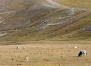 Parco Nazionale del Pollino