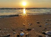 Alba d'orata nella splendida spiaggia di Giulianova