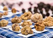 Alba, tartufo bianco