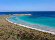 Spiaggia nell'area naturale di Torre Guaceto