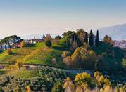 Asolo, Treviso, collna di Messano