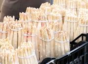 Asparagi bianchi di Bassano del Grappa, Vicenza