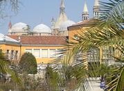 Il giardino botanico di Padova