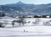 Skiing