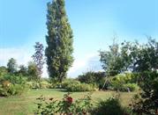 Il parco di Corte Paola