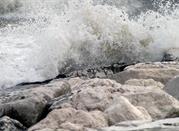 mare