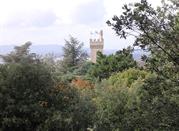 Arbres, Fortezza Medicea