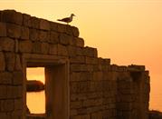 Antiche rovine