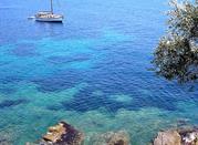 Mare