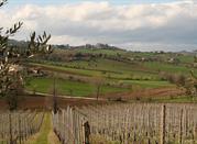 La campagna