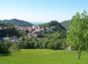 I colori verde