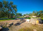 Visita al Dolmen della Chianca a Bisceglie
