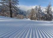 Una lunga discesa di Bardonecchia