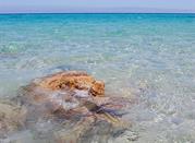 Mare cristallino
